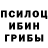 Галлюциногенные грибы Psilocybine cubensis Marcus Lewis