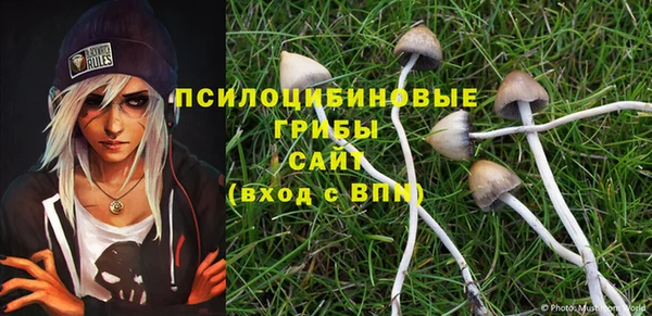 мдма Осташков